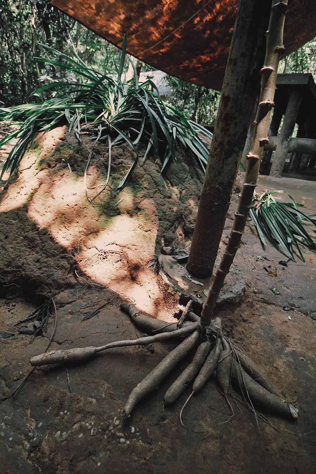 Cu Chi Tunnels: Crawling through Two Decades of War in Ho Chi Minh City, Vietnam