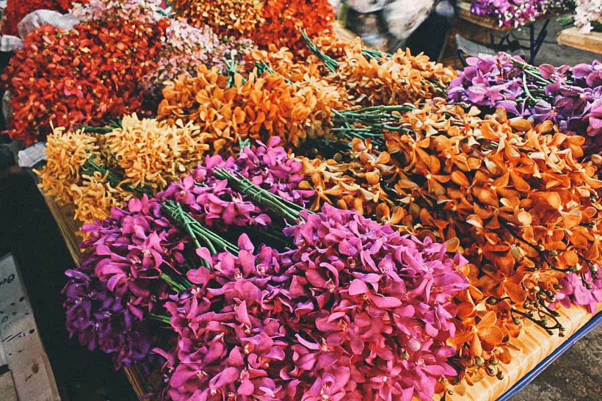 Orchids for sale at Pak Khlong Talat flower market in Bangkok