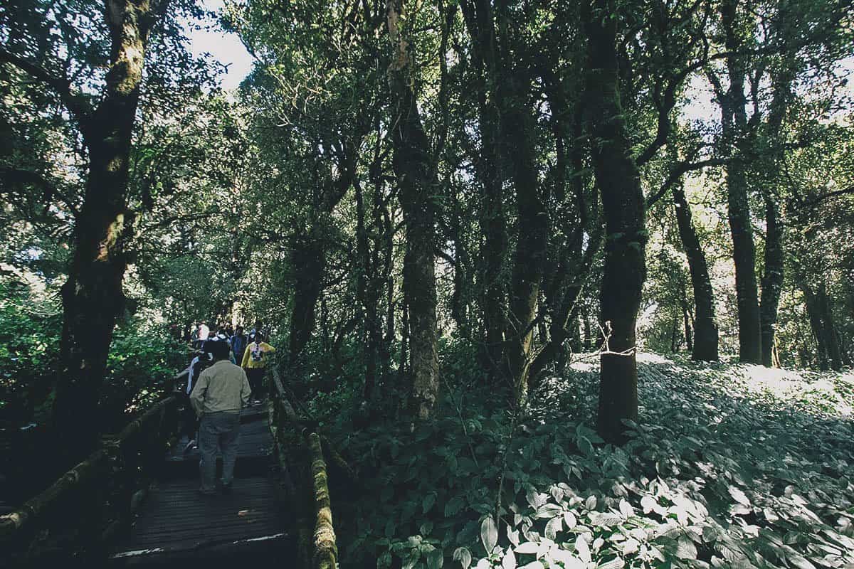 Doi Inthanon, Chiang Mai, Thailand