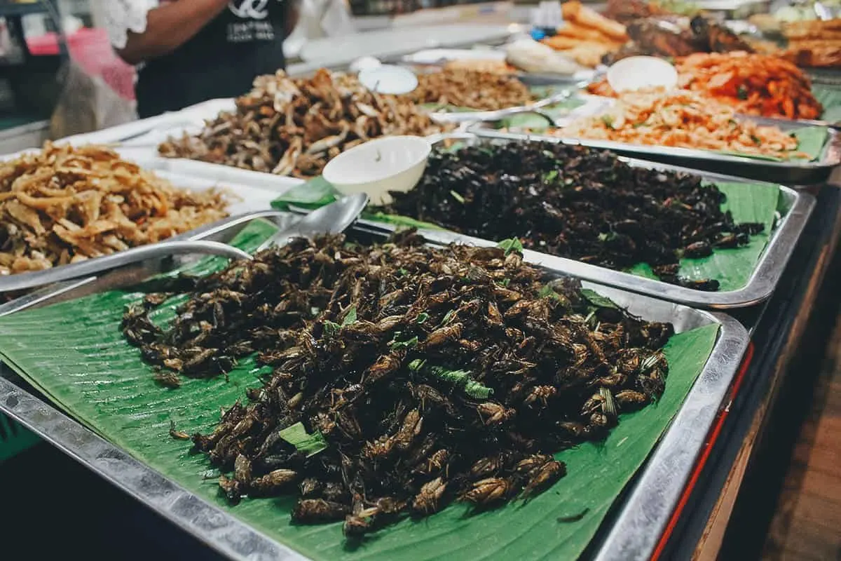 A Chef's Tour, Chiang Mai, Thailand