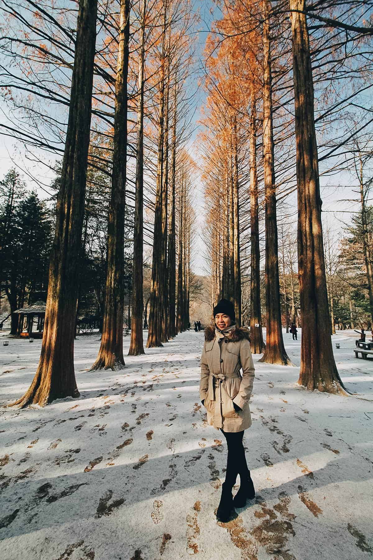 Ren posing at Metasequoia Lane on Nami Island in South Korea