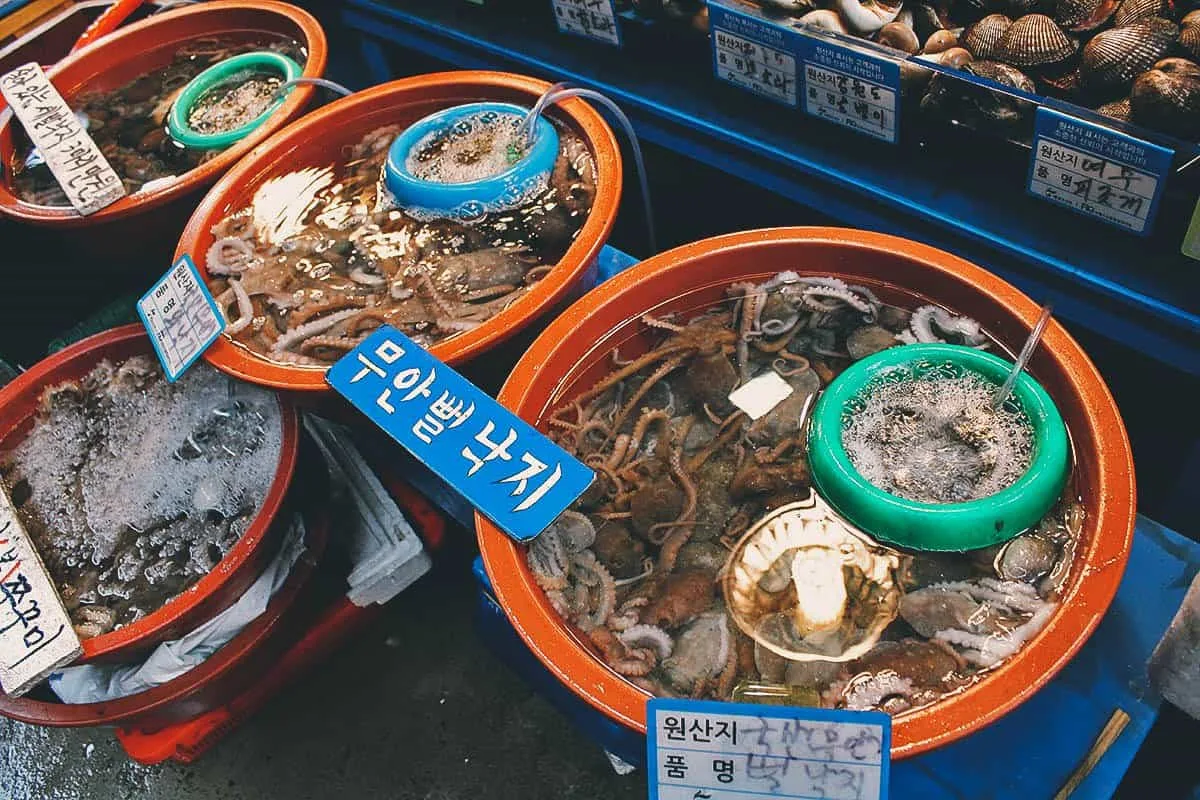 Buckets of live seafood at Noryangjin Fish Market in Seoul, South Korea