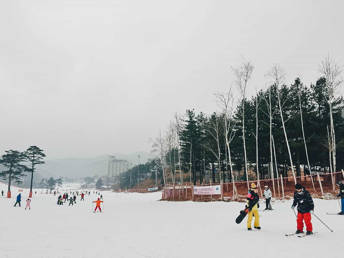 Oak Valley Snow Park, Wonju, South Korea