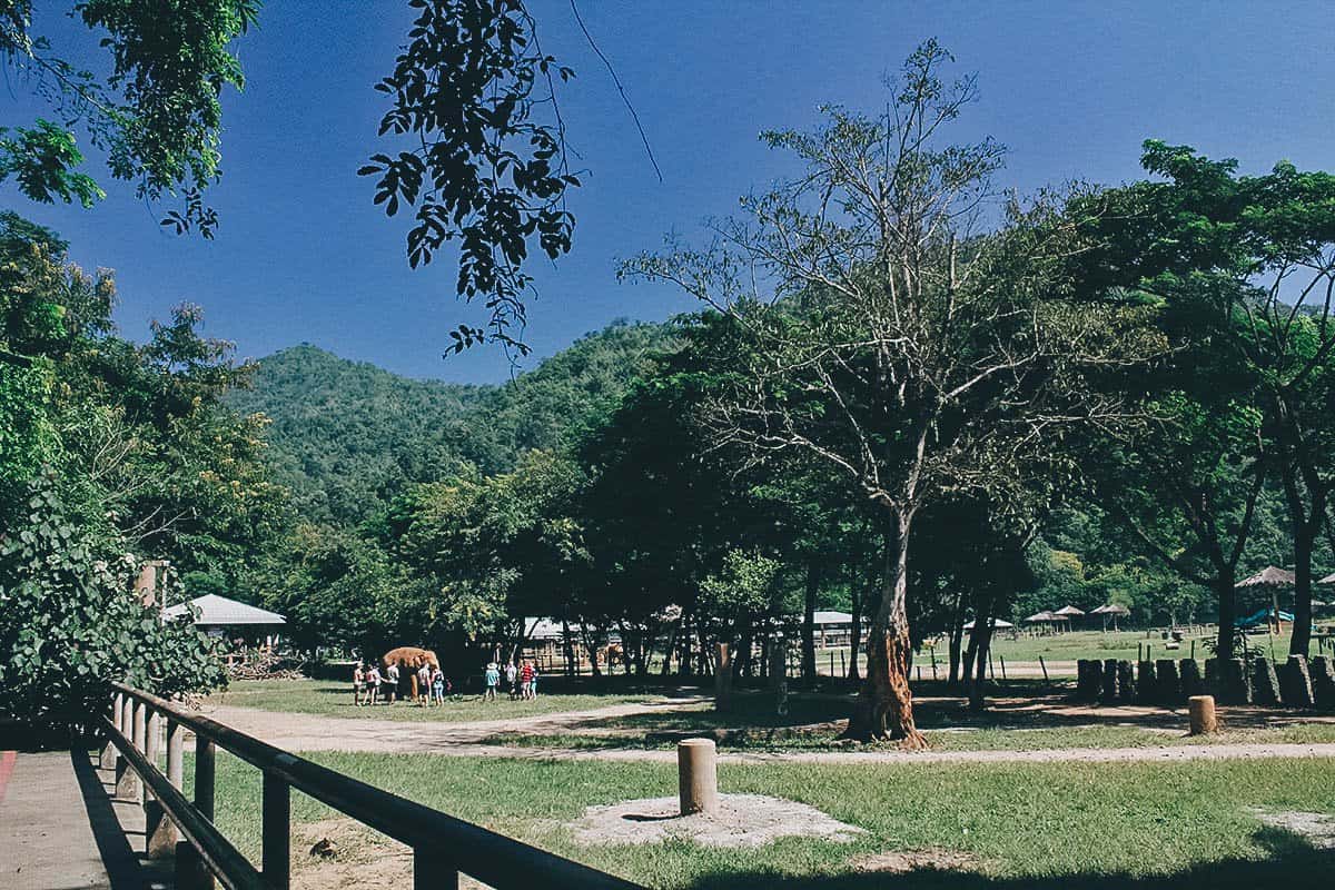 Elephant Nature Park, Chiang Mai, Thailand