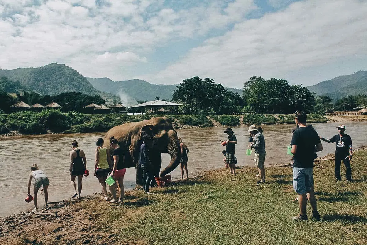 Elephant Nature Park, Chiang Mai, Thailand