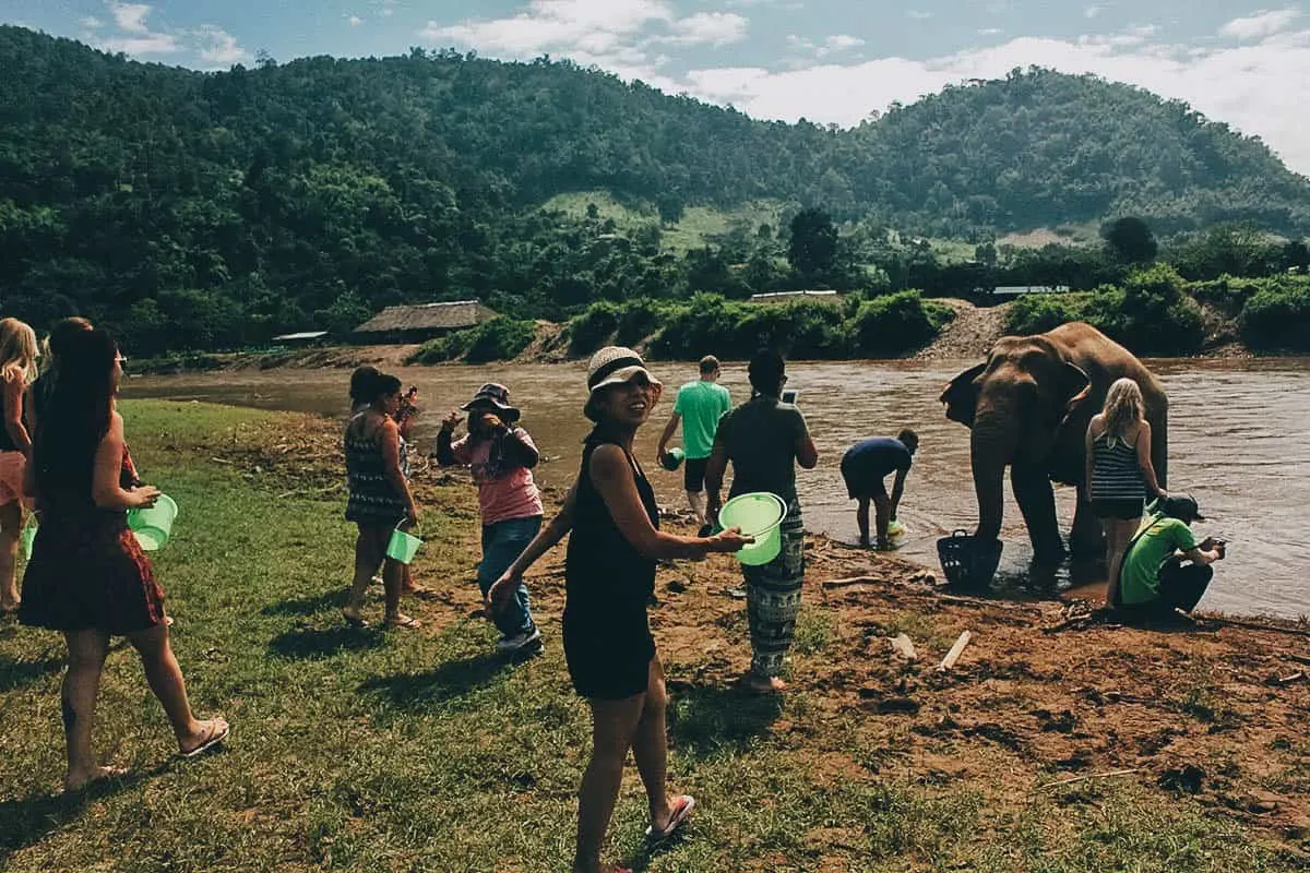 Elephant Nature Park, Chiang Mai, Thailand