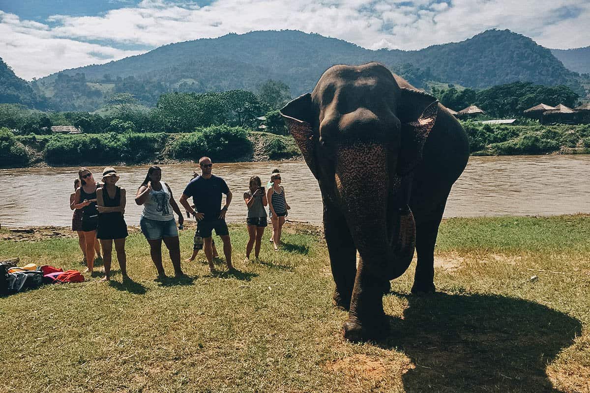 Elephant Nature Park, Chiang Mai, Thailand