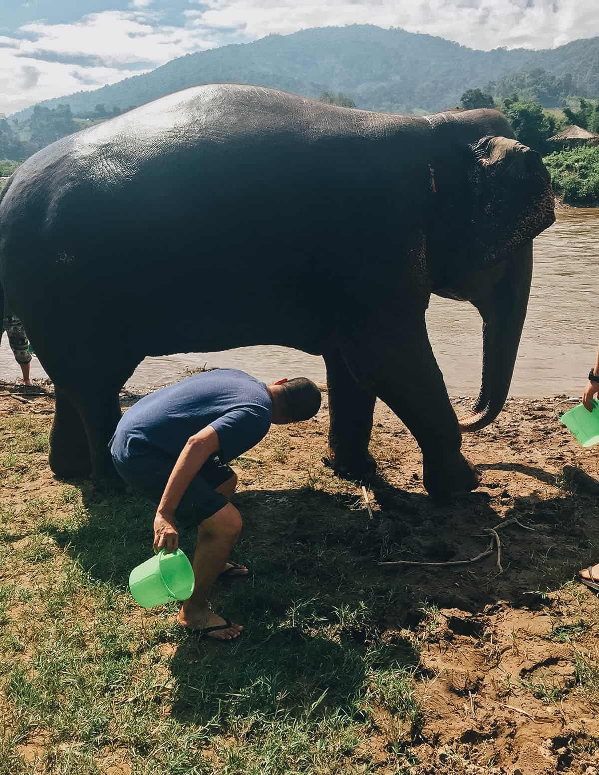 Elephant Nature Park, Chiang Mai, Thailand