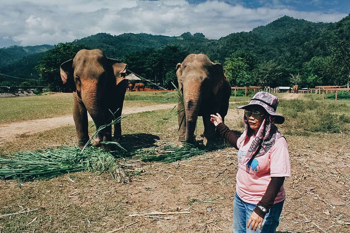 Elephant Nature Park, Chiang Mai, Thailand