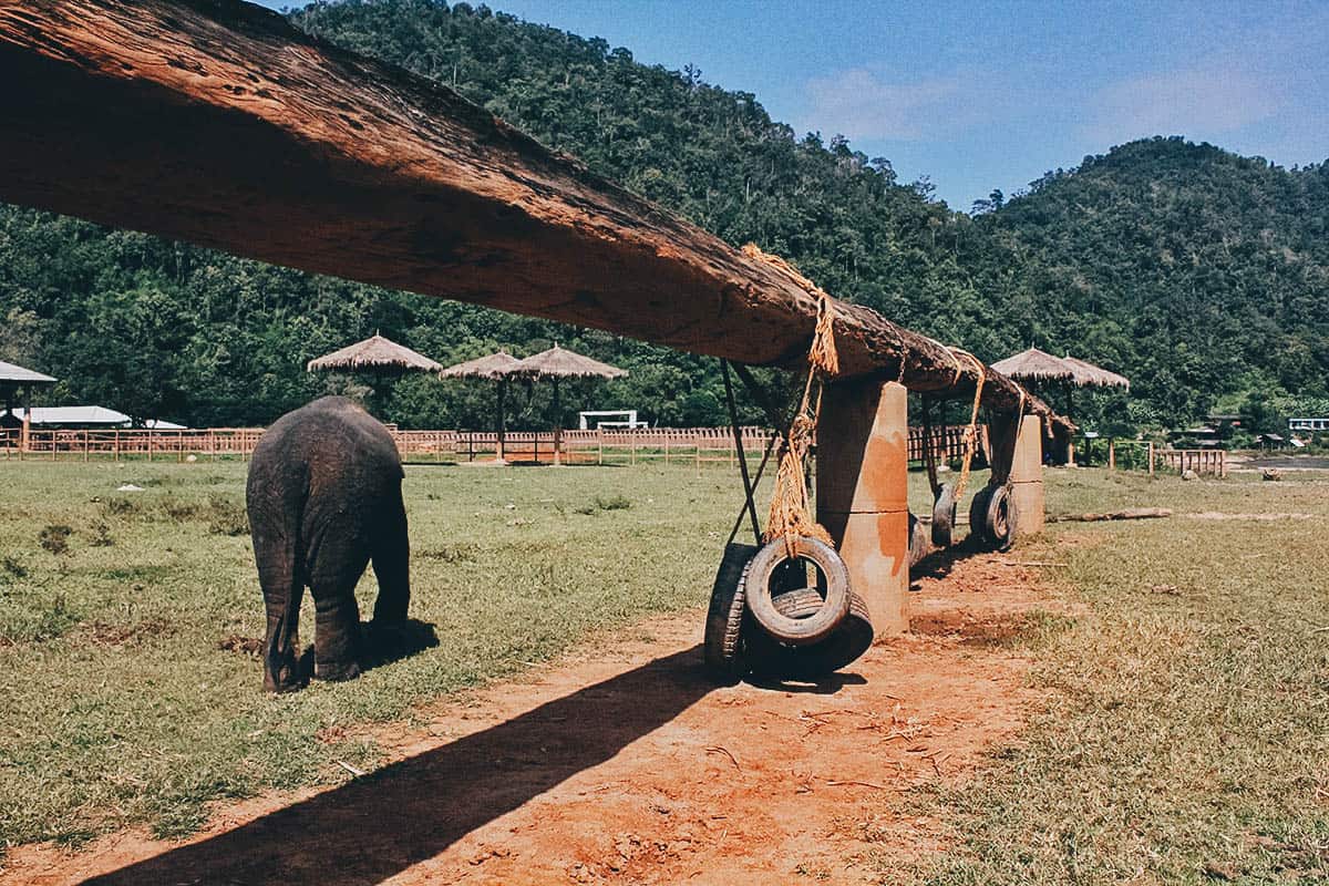 Elephant Nature Park, Chiang Mai, Thailand