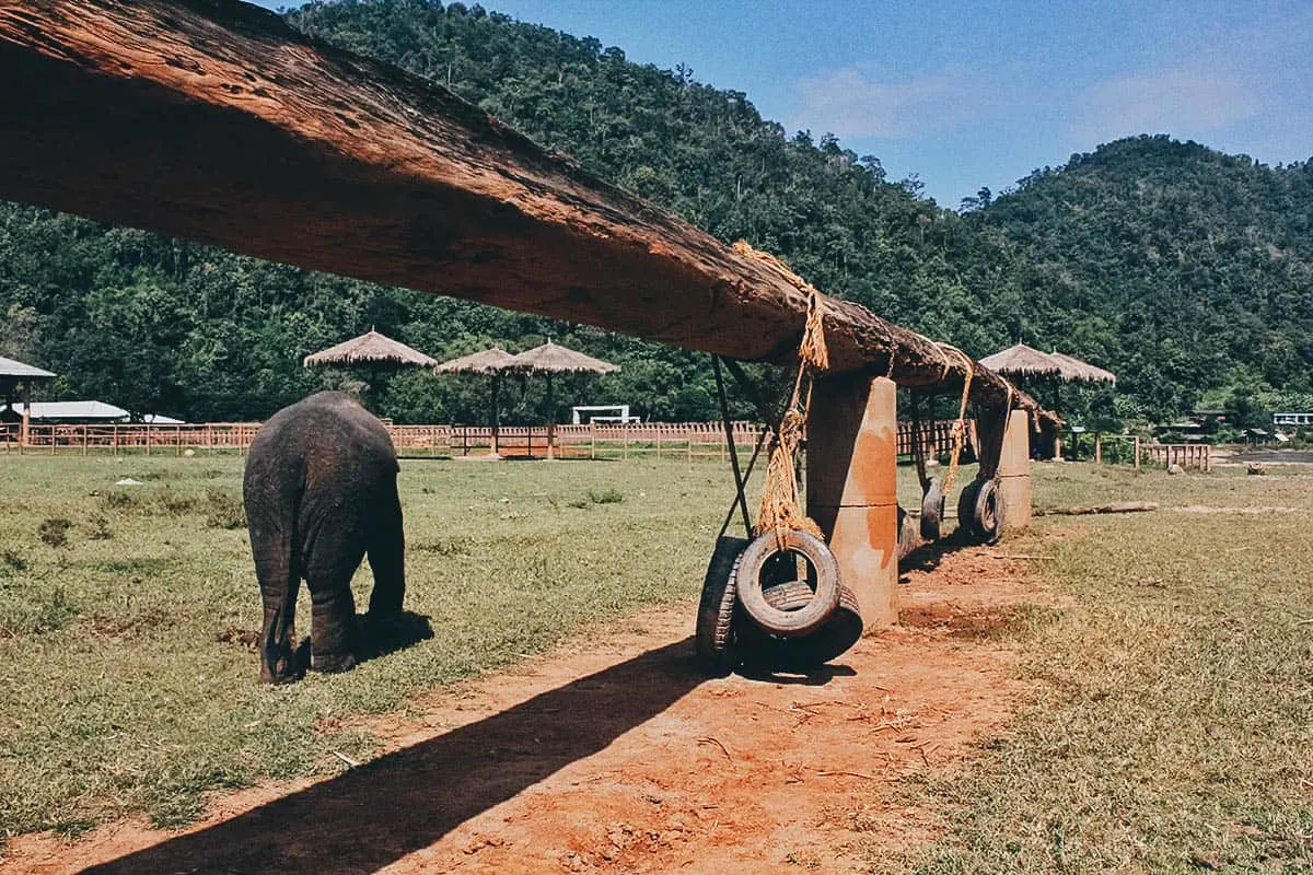 Elephant Nature Park, Chiang Mai, Thailand