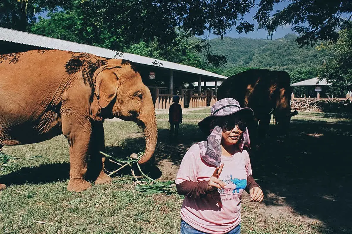 Elephant Nature Park, Chiang Mai, Thailand