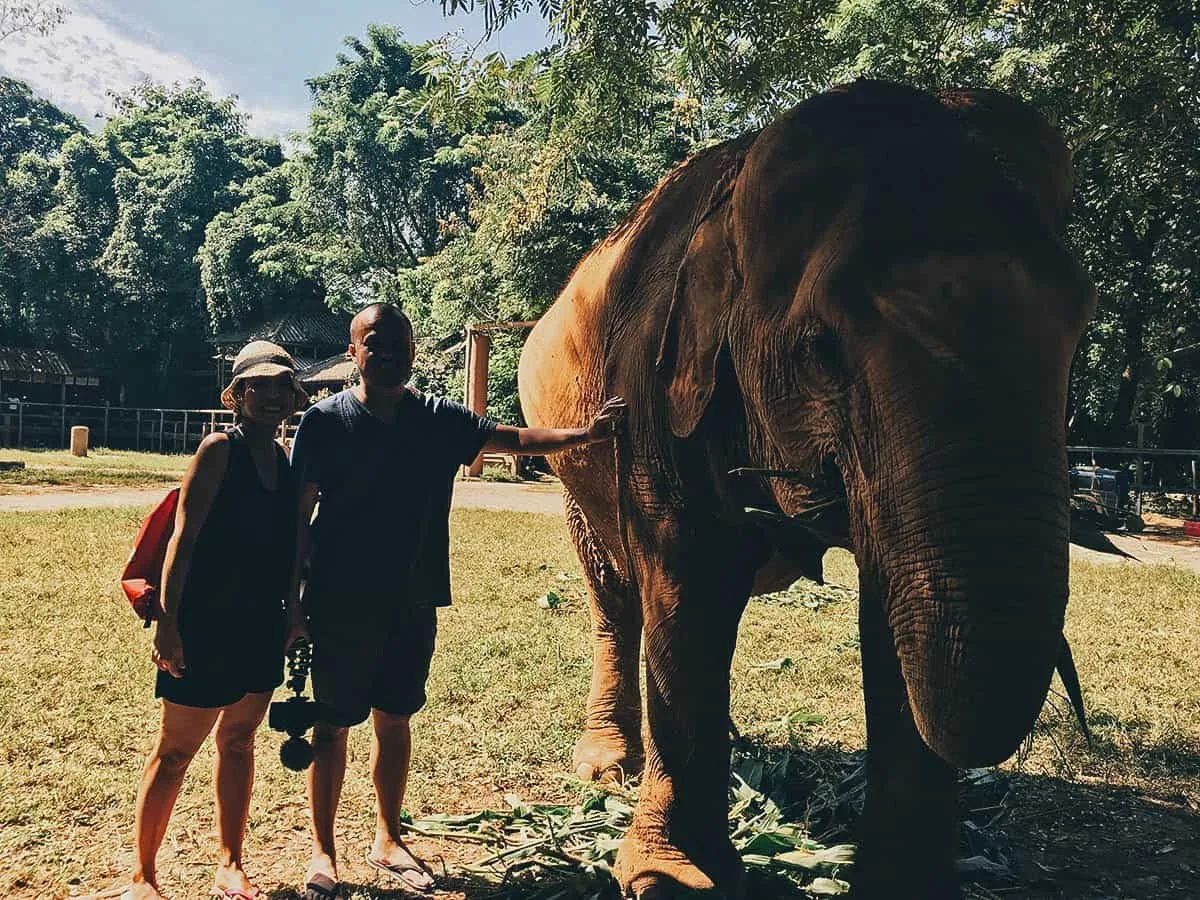 Elephant Nature Park, Chiang Mai, Thailand