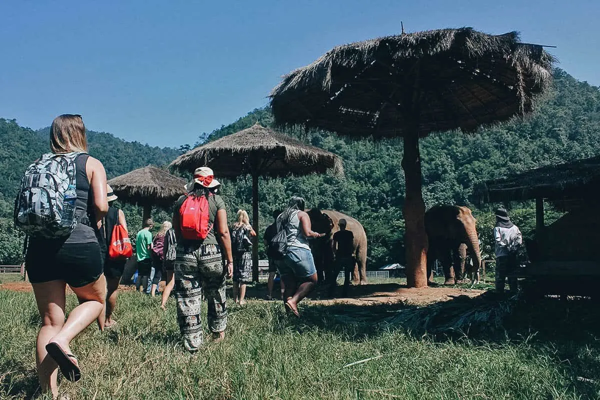 Elephant Nature Park, Chiang Mai, Thailand