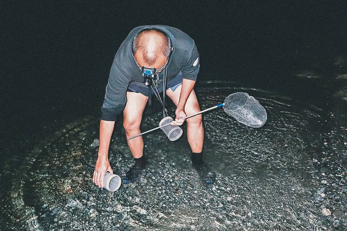 Shrimping in Hualien with the River King