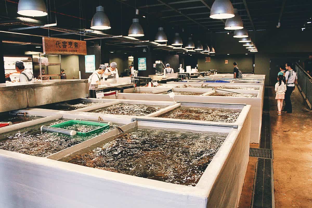 Seafood tanks at Addiction Aquatic in Taipei