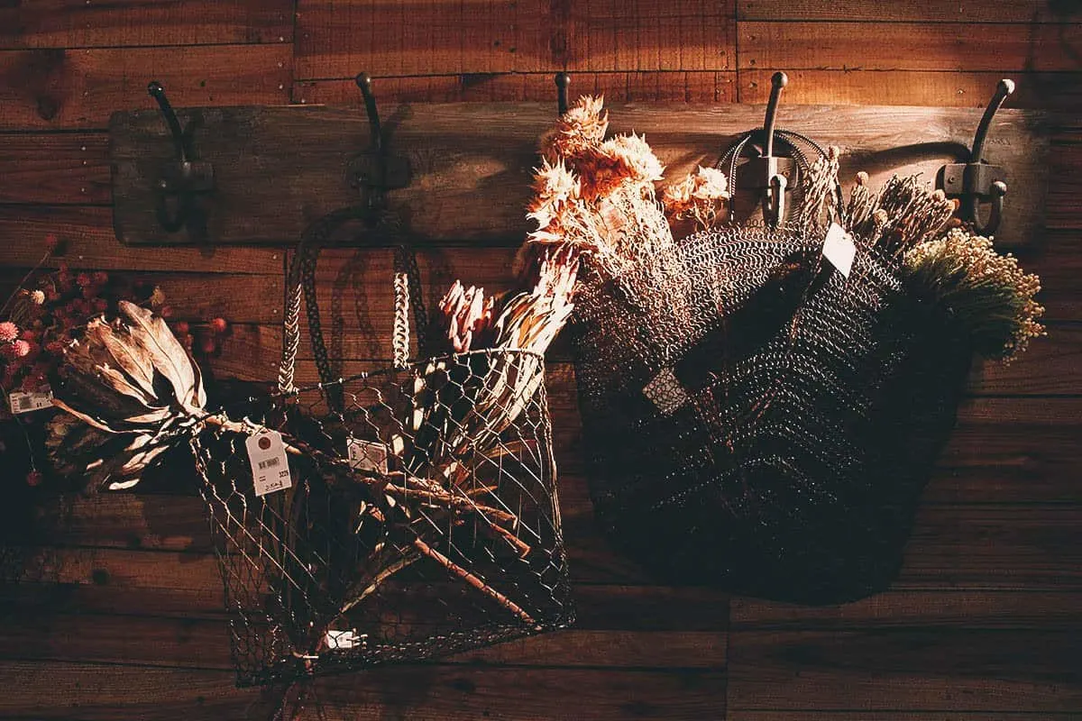 Dried flowers at Addiction Aquatic in Taipei