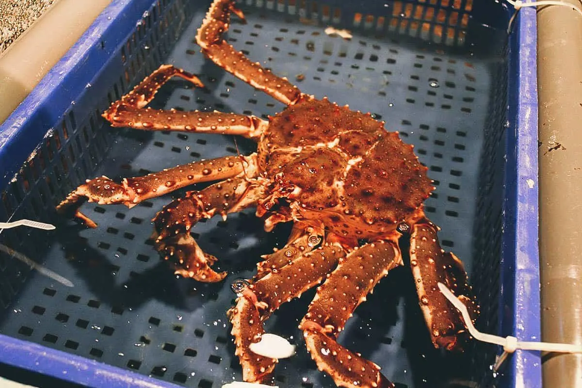Addiction Aquatic Development, Taipei Live king crab at AAD in Taipei
