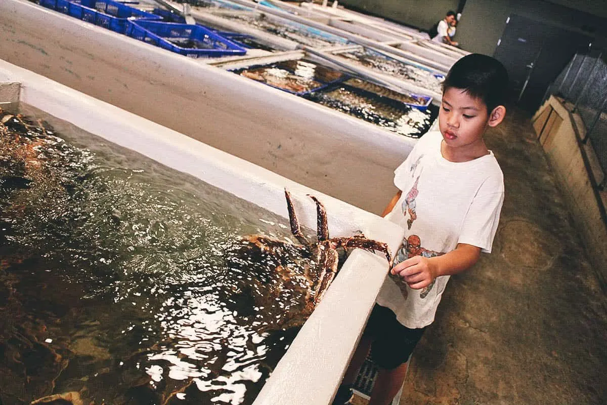 Boy touching king crab at AAD in Taipei