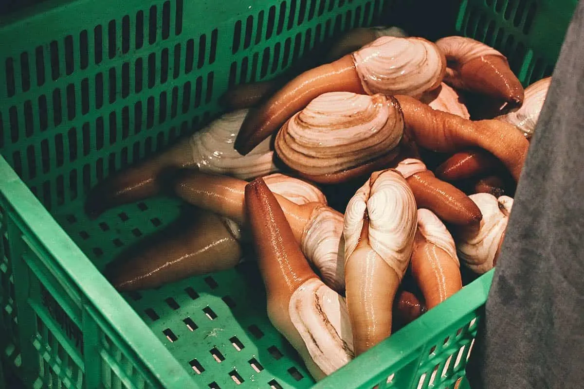 Addiction Aquatic Development, Taipei Basket of geoducks at AAD in Taipei
