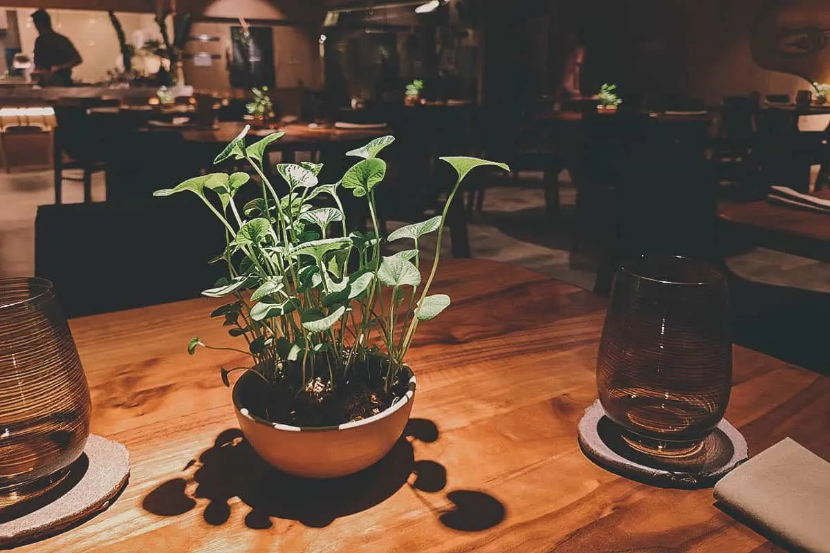 The Best Restaurants in Manila Gallery by Chele dining area