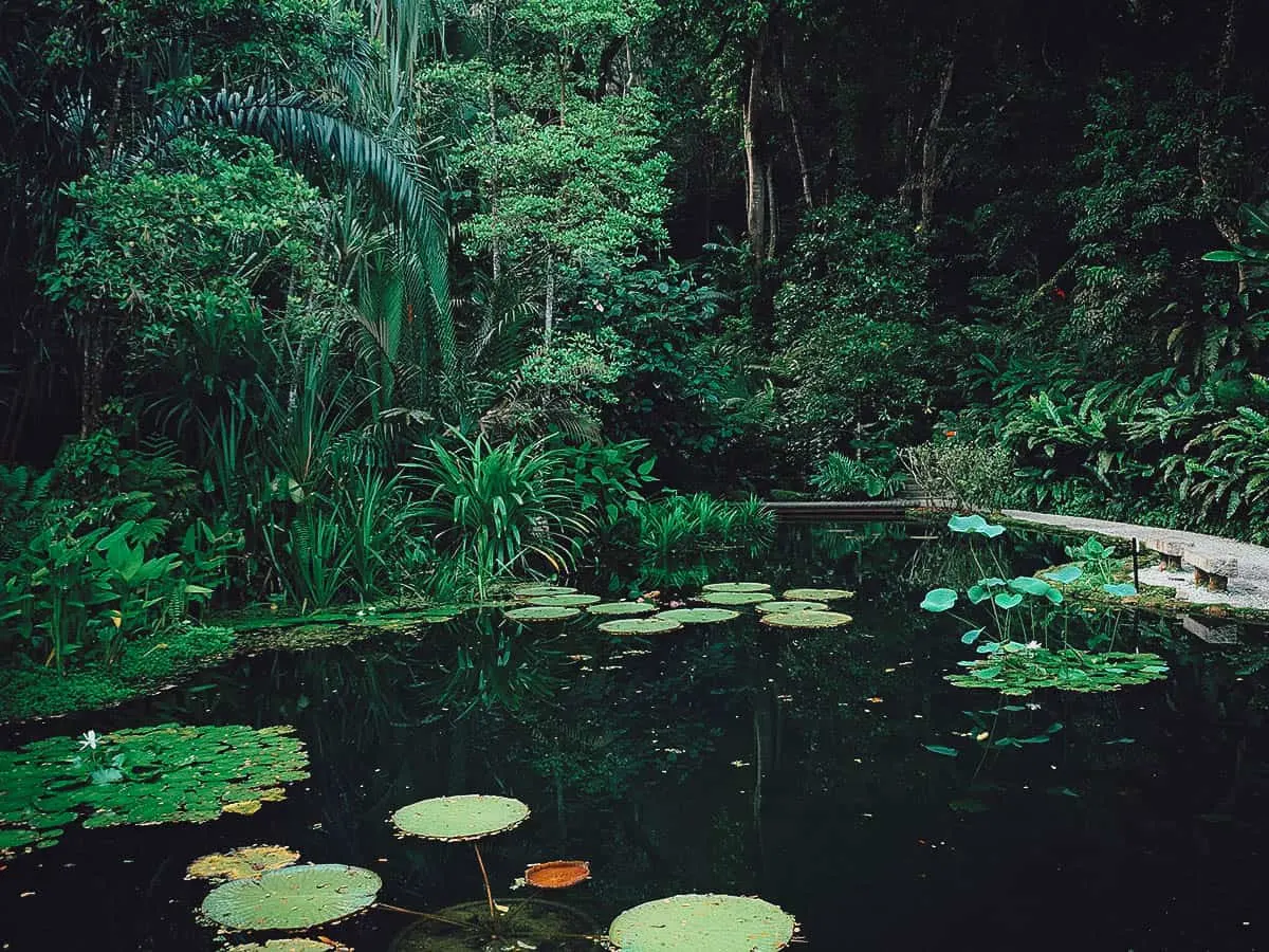 Pond at the Tropical Spice Garden in Penang, Malaysia
