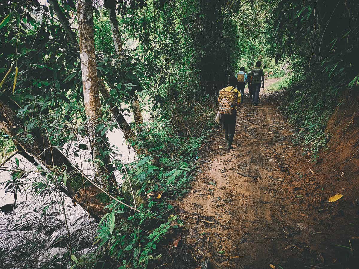 Pai Karen Village Foraging Adventure, Chiang Mai, Thailand