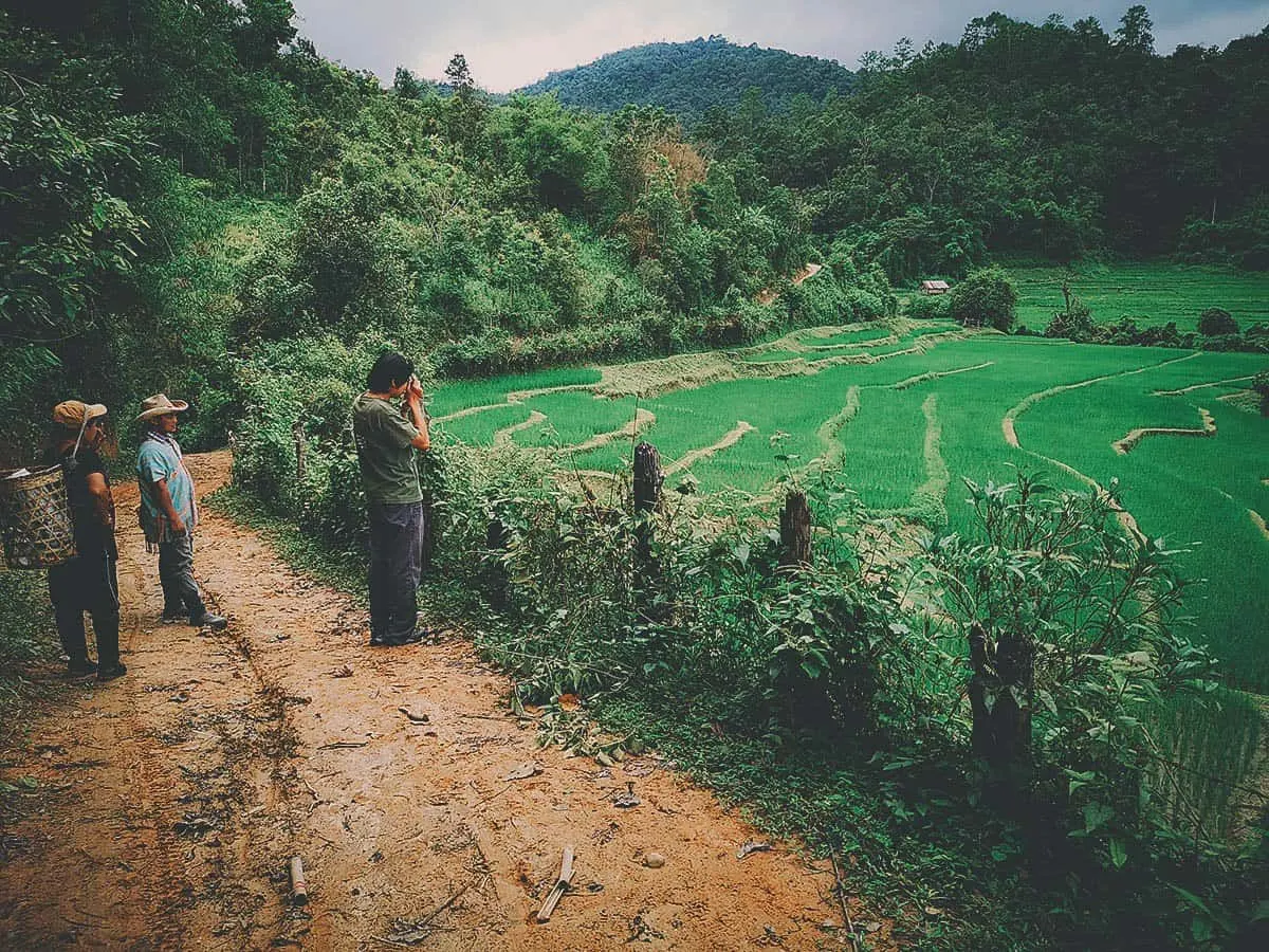 Pai Karen Village Foraging Adventure, Chiang Mai, Thailand