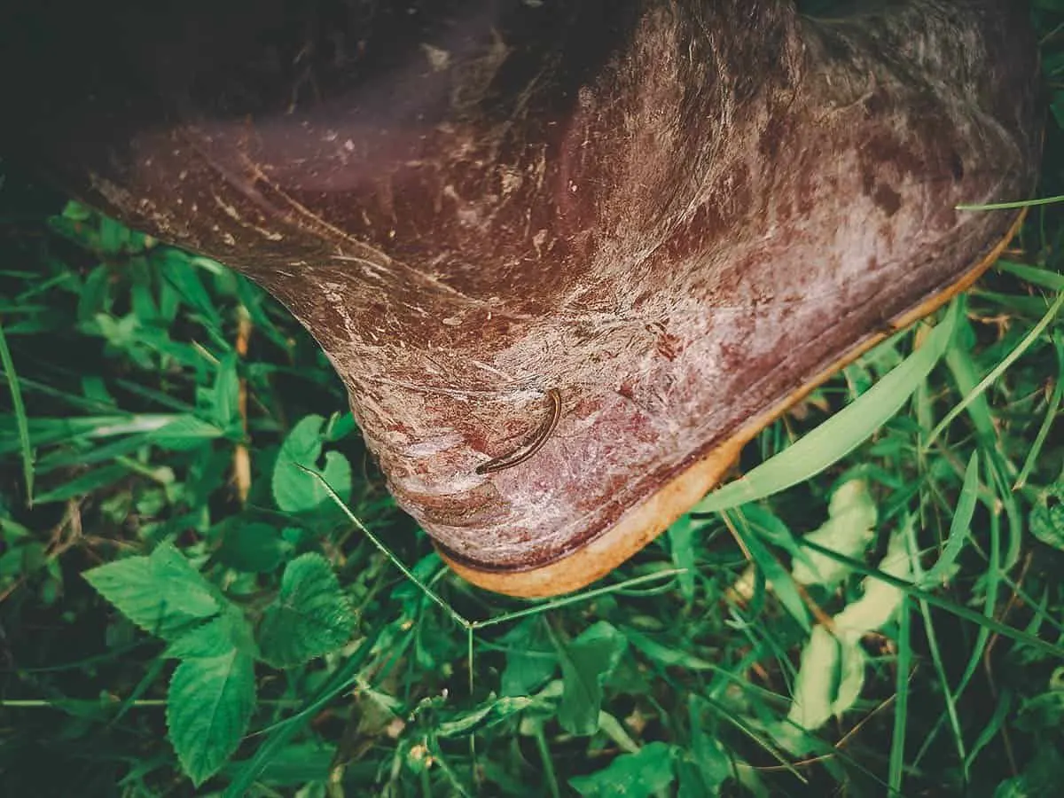 Pai Karen Village Foraging Adventure, Chiang Mai, Thailand