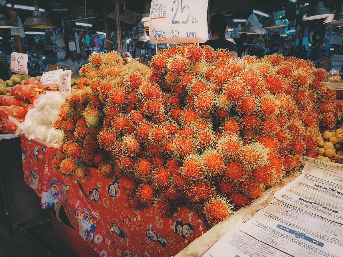 Pai Karen Village Foraging Adventure, Chiang Mai, Thailand