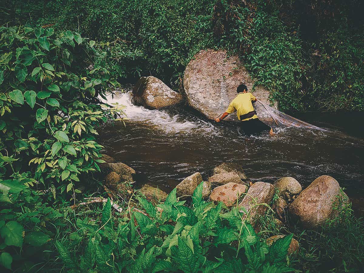 Pai Karen Village Foraging Adventure, Chiang Mai, Thailand