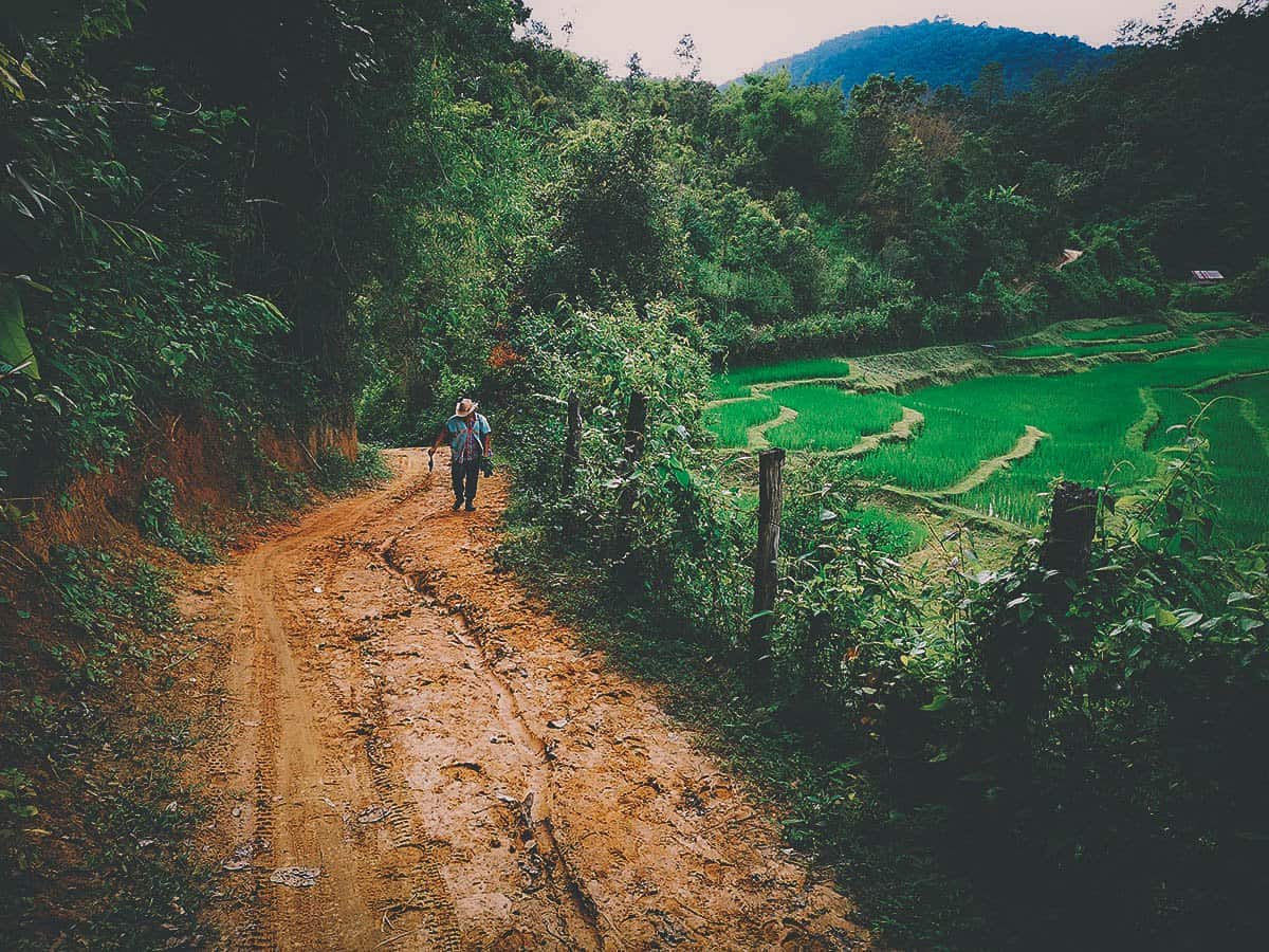 Pai Karen Village Foraging Adventure, Chiang Mai, Thailand