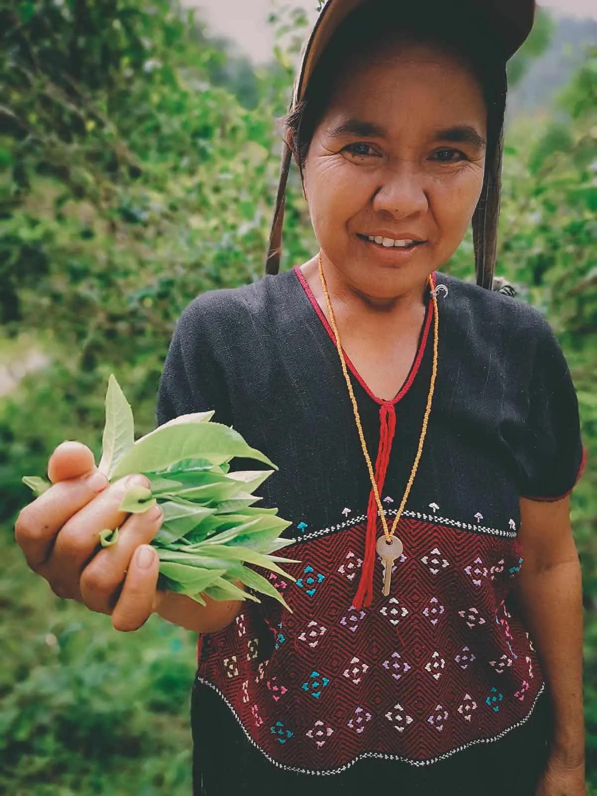 Pai Karen Village Foraging Adventure, Chiang Mai, Thailand