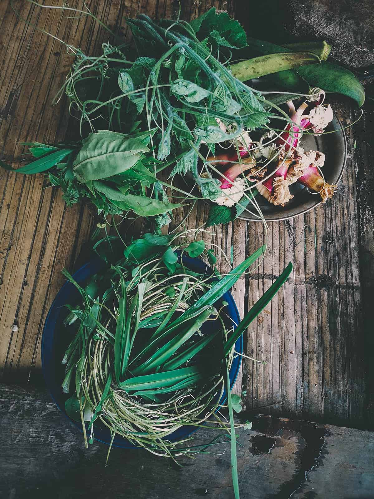 Pai Karen Village Foraging Adventure, Chiang Mai, Thailand