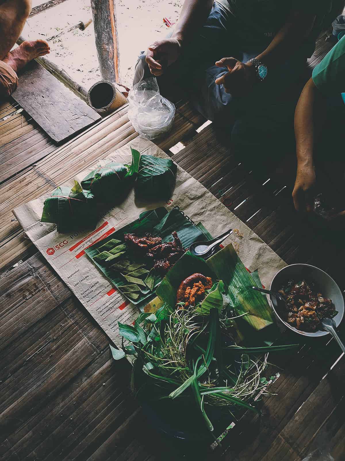 Pai Karen Village Foraging Adventure, Chiang Mai, Thailand