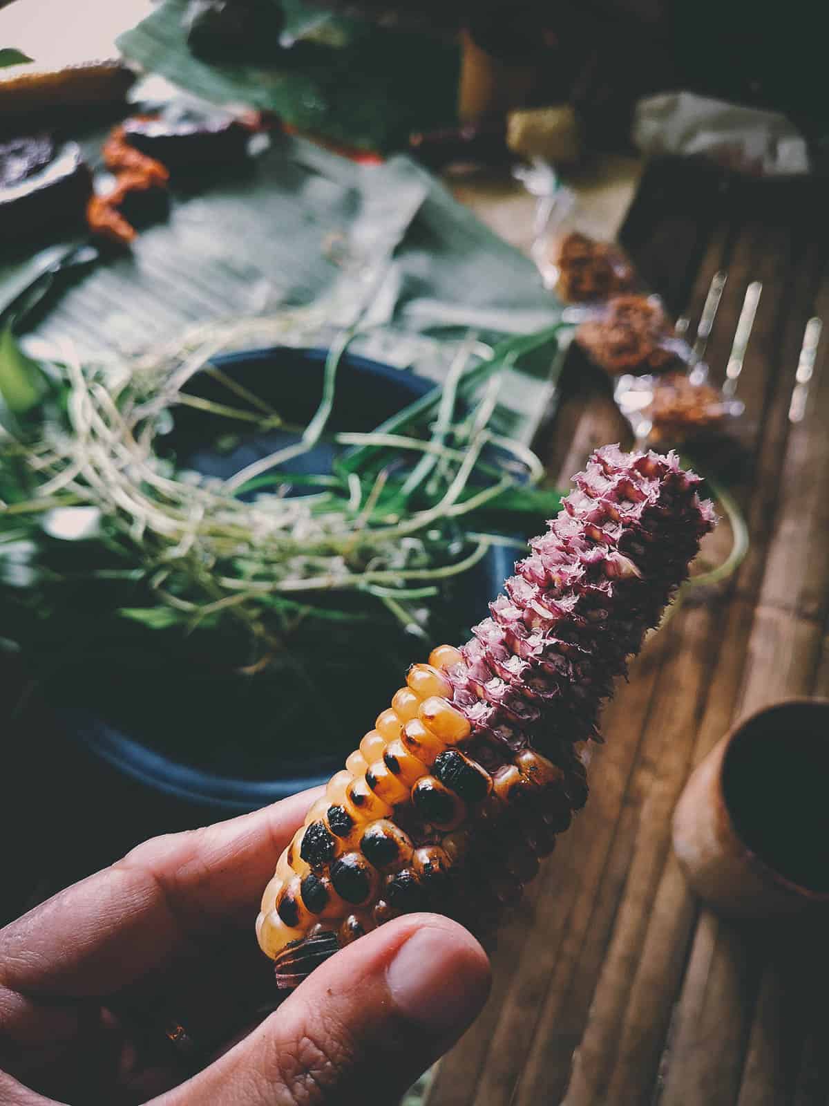 Pai Karen Village Foraging Adventure, Chiang Mai, Thailand