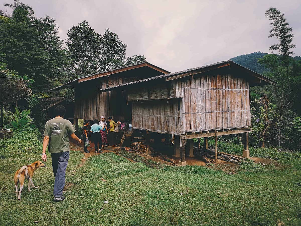 Pai Karen Village Foraging Adventure, Chiang Mai, Thailand