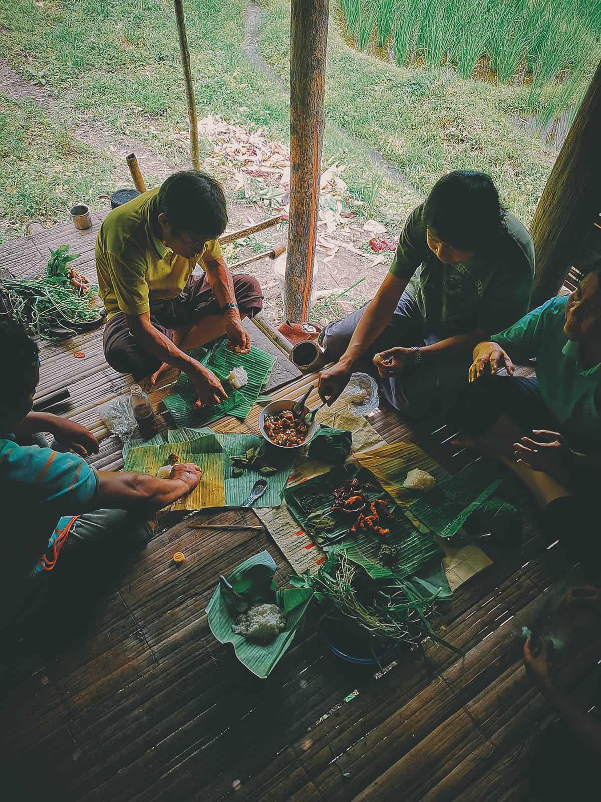 Pai Karen Village Foraging Adventure, Chiang Mai, Thailand