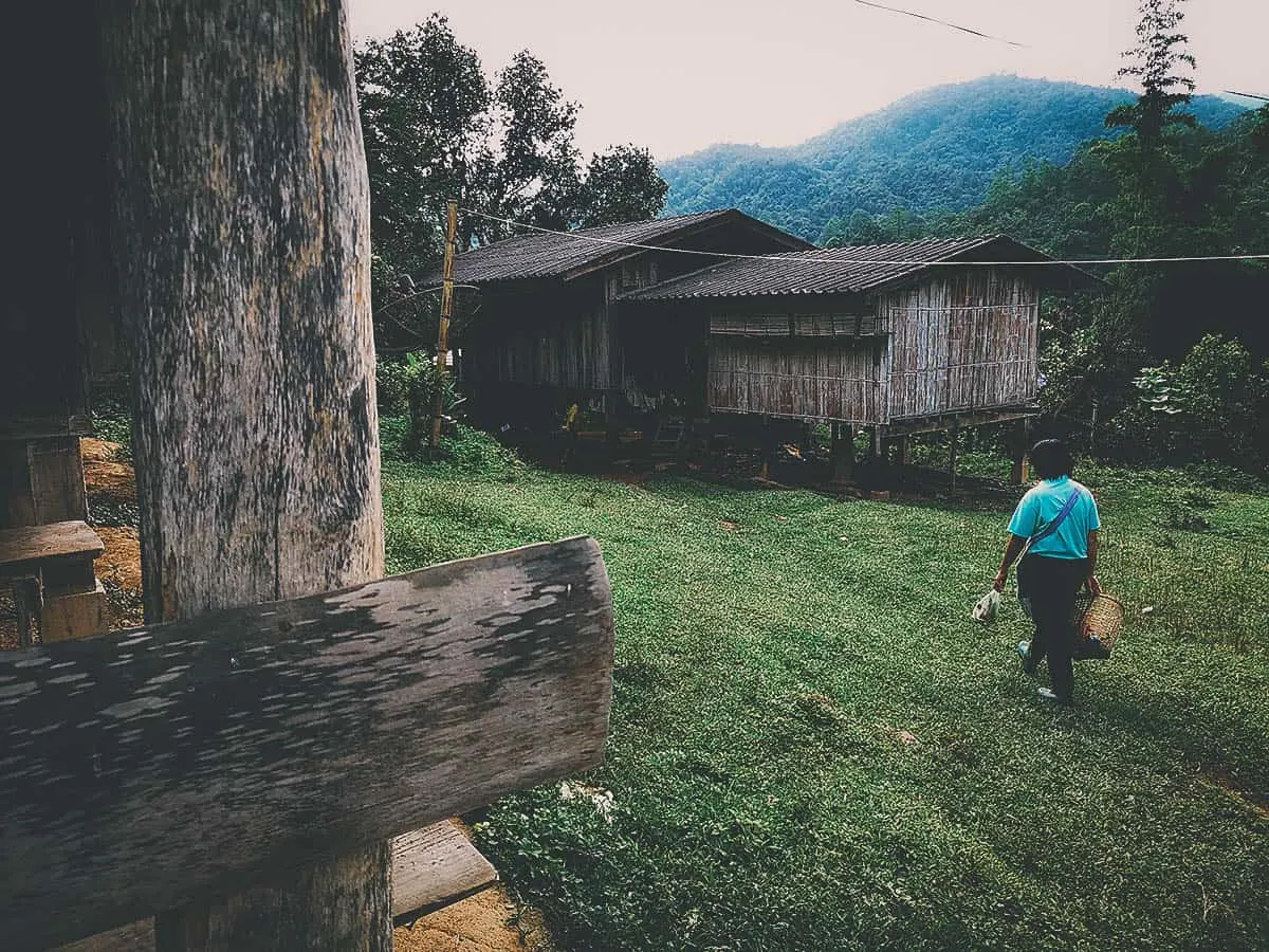 Pai Karen Village Foraging Adventure, Chiang Mai, Thailand