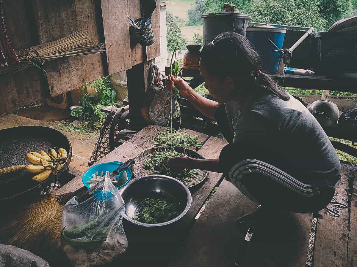 Pai Karen Village Foraging Adventure, Chiang Mai, Thailand