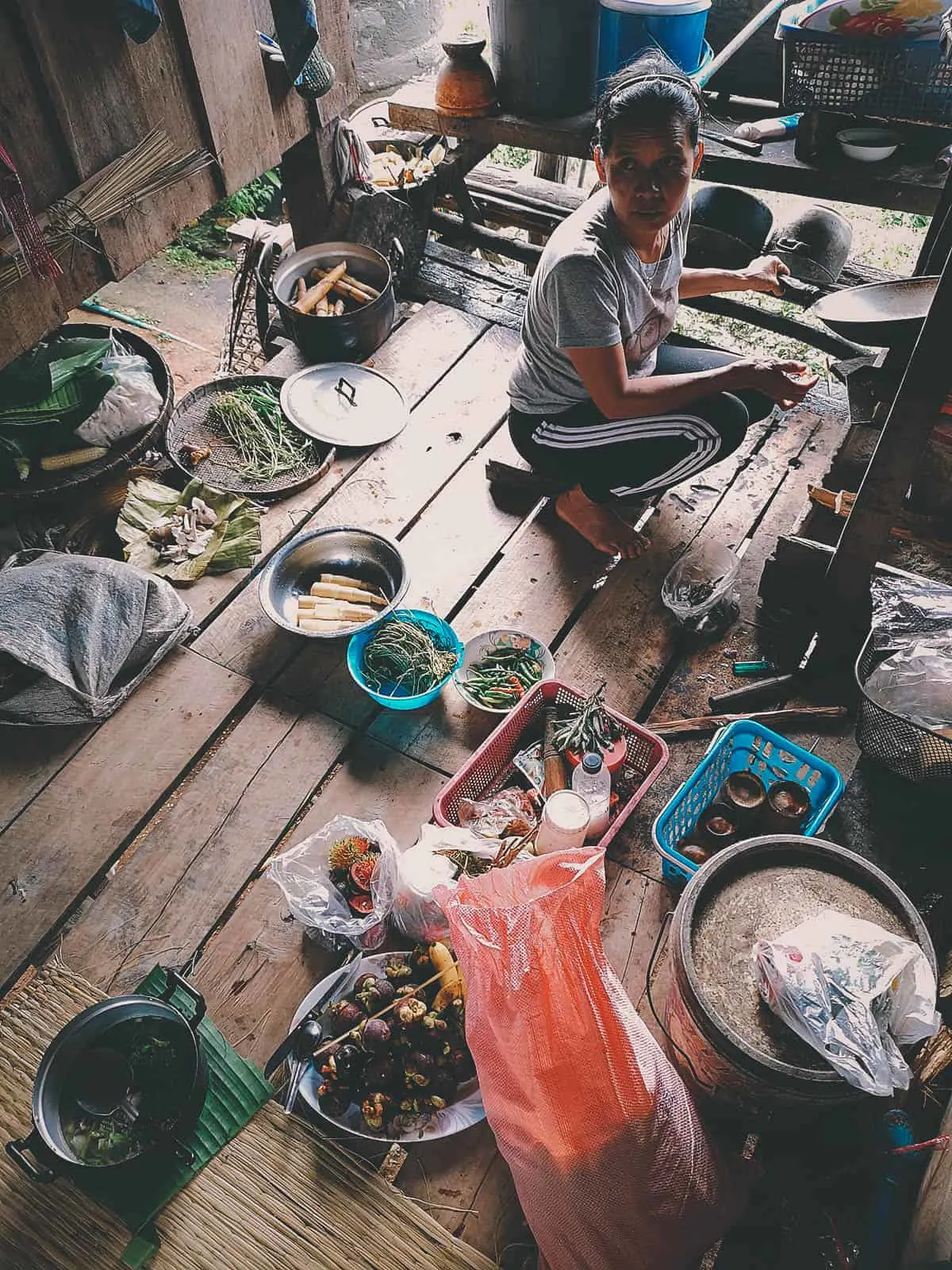 Pai Karen Village Foraging Adventure, Chiang Mai, Thailand