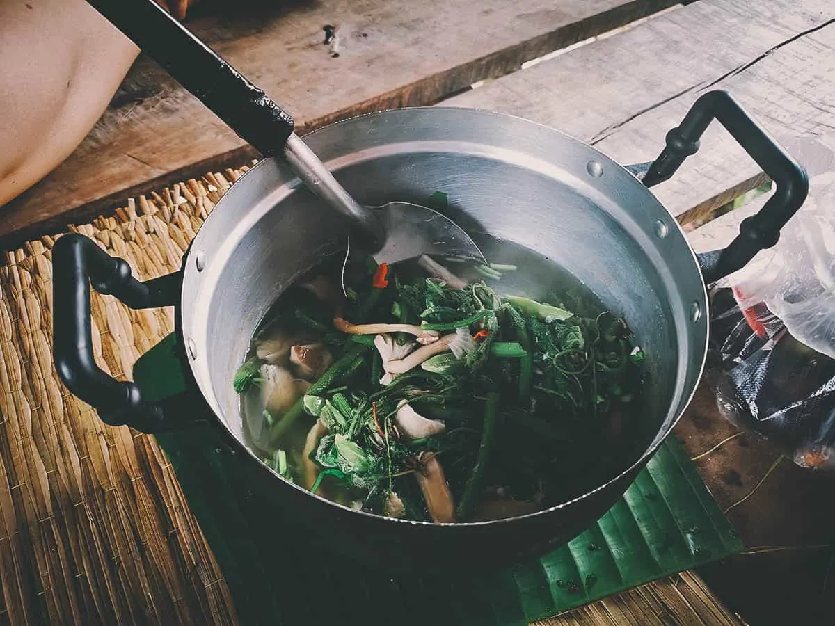 Pai Karen Village Foraging Adventure, Chiang Mai, Thailand