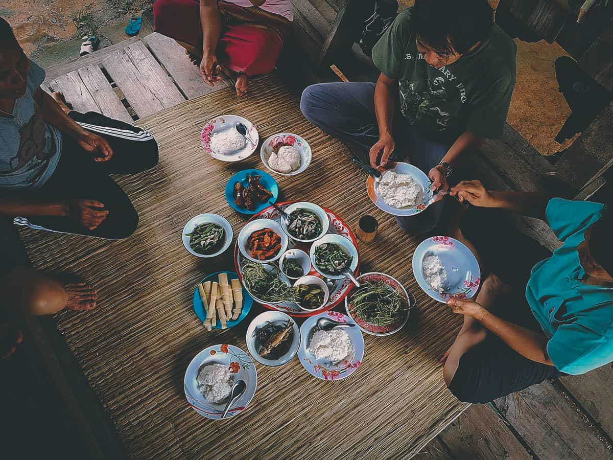 Pai Karen Village Foraging Adventure, Chiang Mai, Thailand