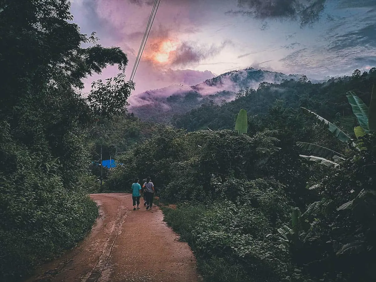 Pai Karen Village Foraging Adventure, Chiang Mai, Thailand