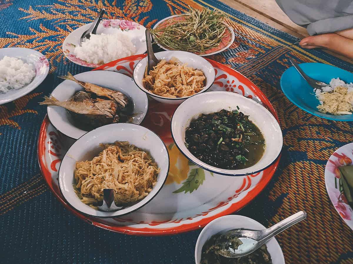 Pai Karen Village Foraging Adventure, Chiang Mai, Thailand