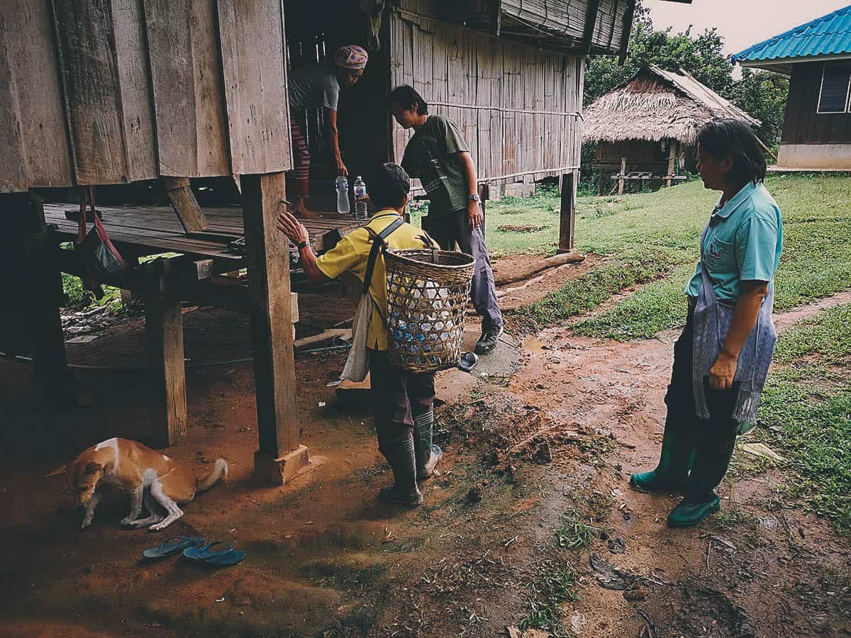 Pai Karen Village Foraging Adventure, Chiang Mai, Thailand