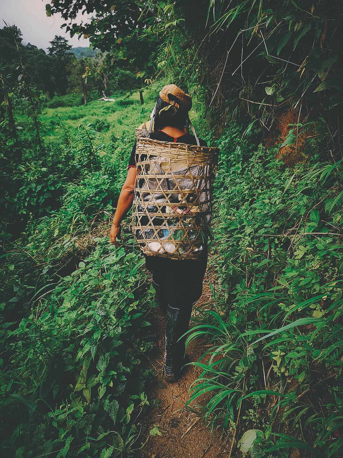 Pai Karen Village Foraging Adventure, Chiang Mai, Thailand