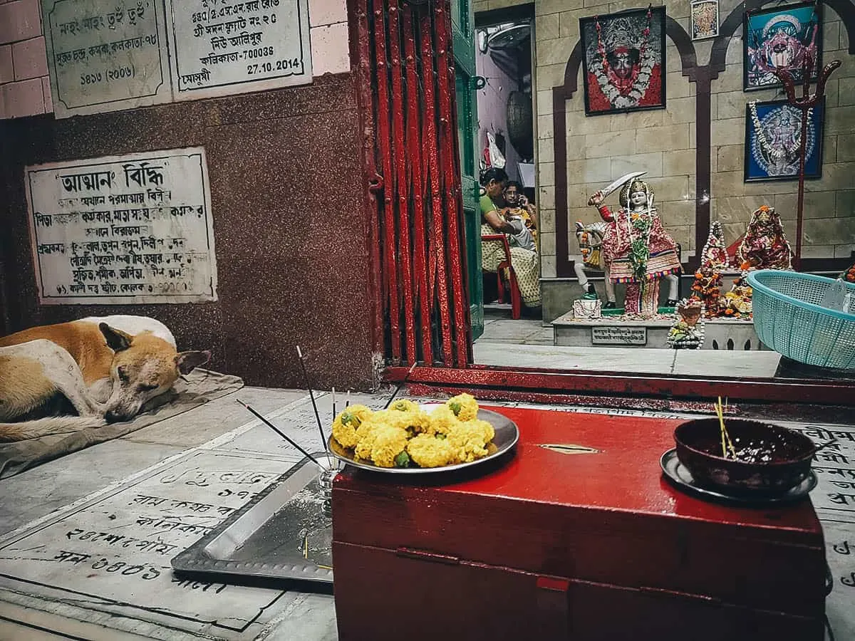 Kolkata Uptown Food Tour, Kolkata, India