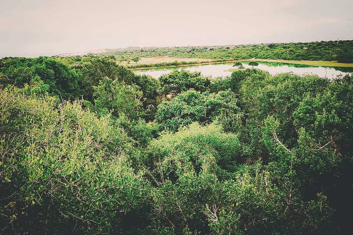 Cinnamon Wild, Tissamaharama, Hambantota, Sri Lanka