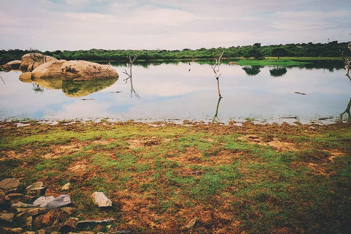 Cinnamon Wild, Tissamaharama, Hambantota, Sri Lanka